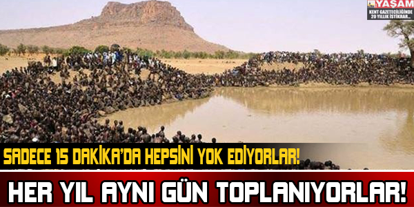 HER YIL AYNI YERDE TOPLANIYORLAR!SADECE 15 DAKİKA'DA HEPSİNİ YOK EDİYORLAR!