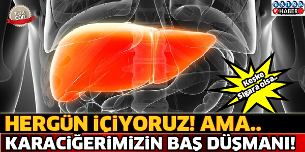 Hergün İçiyoruz Ama Karaciğerimizin Baş Düşmanı ! Sigara Değil...