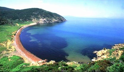 Hangi İlimizin Neyi Meşhur