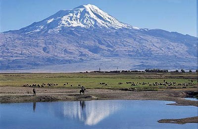 Hangi İlimizin Neyi Meşhur