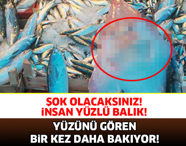 YÜZÜNÜ GÖREN BİRKEZ DAHA BAKIYOR! İNSAN YÜZLÜ BALIK!
