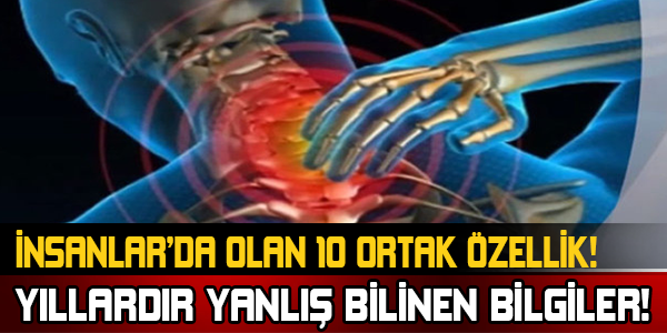 İnsanlar da Olan 10 Ortak Özellik