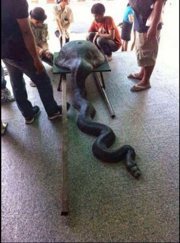 İnternette Her Gördüğünüze İnanmayın..!