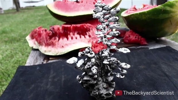 Pes dedirten deney! Karpuzun içine erimiş aliminyum dökülürse...