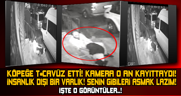 SOKAK ORTASINDA KÖPEĞE T*CAVÜZ ETTİ! İNSANLIIK DIŞI BİR HAREKET! ASILMASI LAZIM...