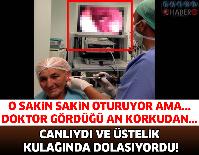 O SAKİN SAKİN OTURUYOR AMA... KULAĞINDA CANLI CANLI DOLAŞIYORDU..!