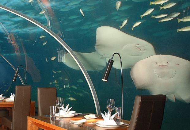 Dünyadaki en ilginç restaurantlar! Klozetten yemek yiyorlar...