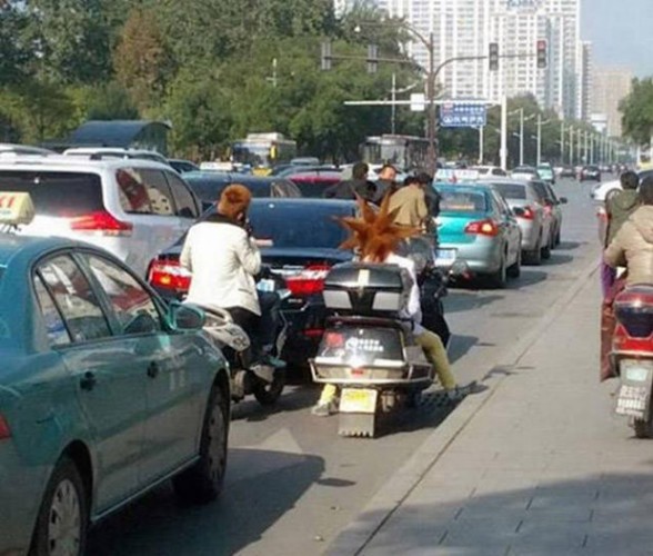 Bu kadarı da pes! İşte trafikten en ilginç kareler...