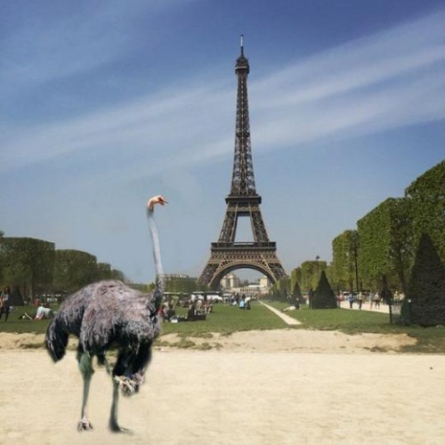 Paris'e gittiğine bin pişman oldu!