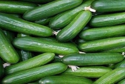 Bir salatalık nelere kadir, okuyun... İlk kez öğreneceksiniz