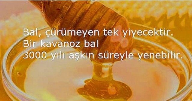 Hiç merak ettiniz mi? Asansörde neden ayna var ?