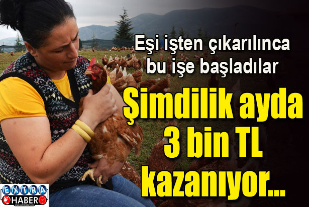 İşsiz kalınca bu işi kurdu..!