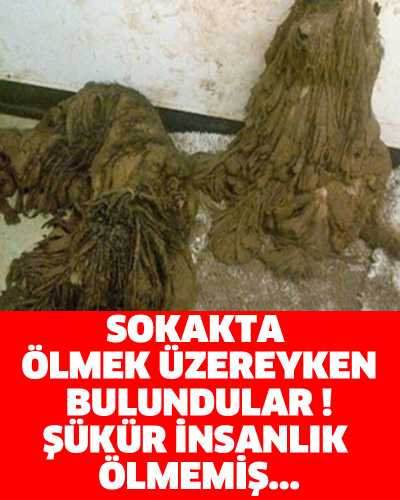 SOKAKTA ÖLMEK ÜZEREYKEN BULUNDULAR ! ŞÜKÜR İNSANLIK ÖLMEMİŞ...
