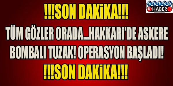 HAKKARİ YÜKSEKOVA'DA OPERASYON BAŞLADI!