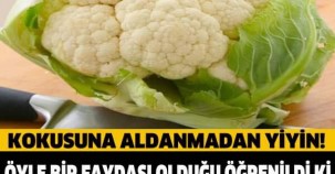 KOKUSUNA ALDANMADAN YİYİN! ÖYLE BİR FAYDASI OLDUĞU ÖĞRENİLDİ Kİ... UZMANLAR BİLE ŞAŞIRIYOR!