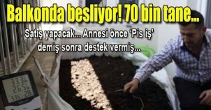 Onlar benim elmaslarım diyor…