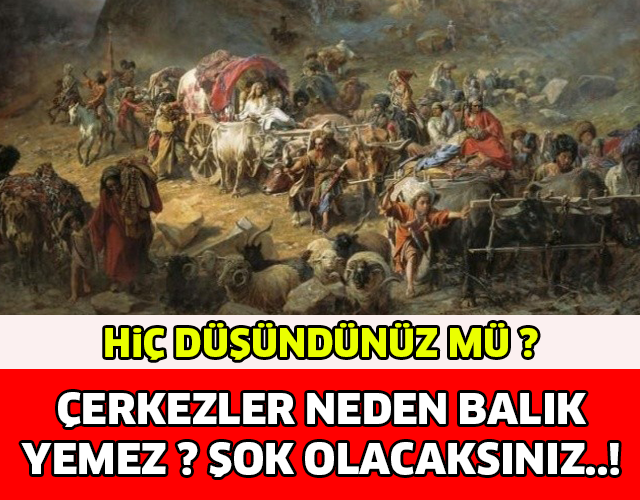 ÇERKEZLER NEDEN BALIK YEMEZ! ŞOK OLACAKSINIZ..!