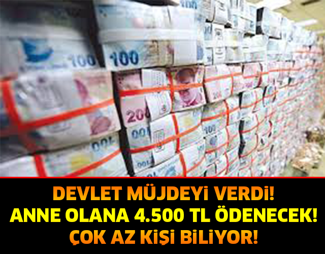 Devlet Anne Olana 4500 TL Verecek! İŞTE DETAYLAR...