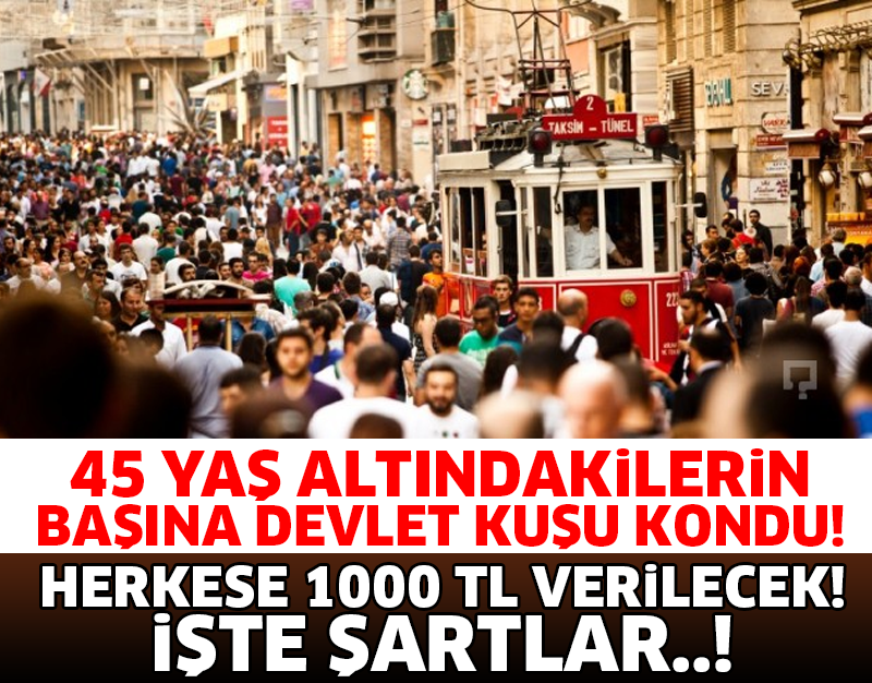DEVLET 45 YAŞ ALTI HERKESE 1000 TL MAAŞ VERECEK! İŞTE ŞARTLAR...