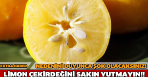 NEDENİNİ DUYUNCA ŞOK OLACAKSINIZ! LİMON ÇEKİRDEĞİNİ SAKIN YUTMAYIN!