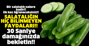 Bir salatalık nelere kadir, okuyun... İlk kez öğreneceksiniz