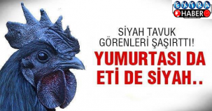 Siyah tavuğun sırrı ne?