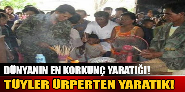 TÜYLER ÜRPERTEN YARATIK!