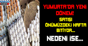 Yumurta satışında yeni dönem: Son tarih 20 Aralık !