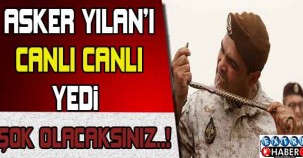 Asker yılanı canlı canlı yedi !