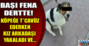 KÖPEĞE T*CAVÜZ EDEN ADAMI KIZ ARKADAŞI YAKALADI!