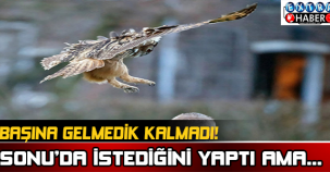 Başına gelmedik Kalmadı!