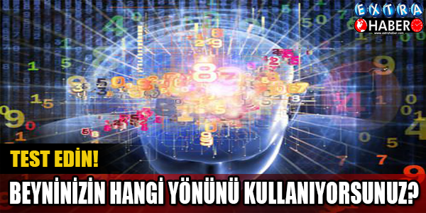 Beyninizin Hangi Yönünü Kullanıyorsunuz ?
