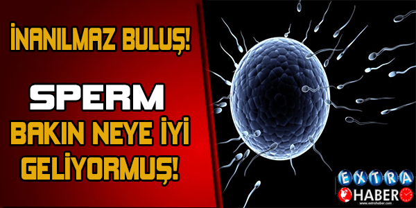Bilim Adamları Şaşkın
