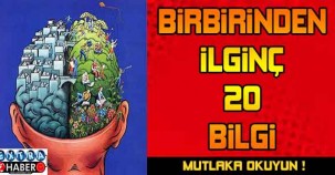Birbirinden ilginç 20 bilgi