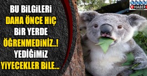 Bu bilgileri daha önce hiç bir yerde öğrenmediniz..! Yediğimiz yiyeceklerde bile...