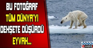 Bu fotoğraf tüm dünyayı dehşete düşürdü ! Eyvah...