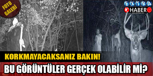 BU GÖRÜNTÜLER GERÇEK OLABİLİR Mİ?