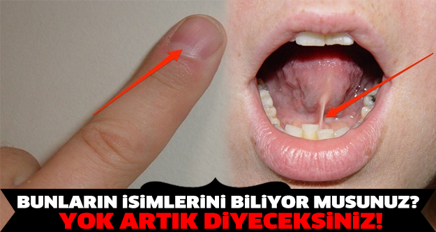 İsimlerini Duyunca Şaşıracaksınız! Bunları Biliyor Musunuz?