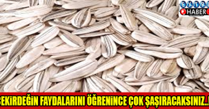 Çekirdeğin faydalarını biliyor muydunuz?