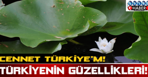 Cennet Türkiye'm