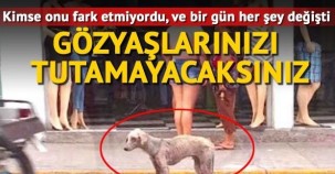 Gözyaşlarınızı Tutamıyacaksınız!