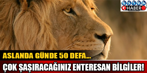 Çok şaşıracağınız enteresan bilgiler!