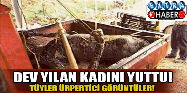 Dev yılan kadını yuttu!