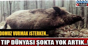DOMUZ VURMAK İSTERKEN... TIP DÜNYASI ŞOKTA YOK ARTIK..!