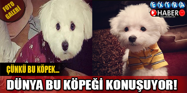İşte gündeme oturmasının nedeni!