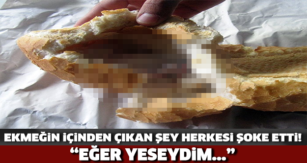 Ekmeğin içinden çıkan şey şaşırttı!