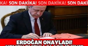ERDOĞAN ONAYLADI! HEMEN EMEKLİ OLABİLİRSİNİZ!!