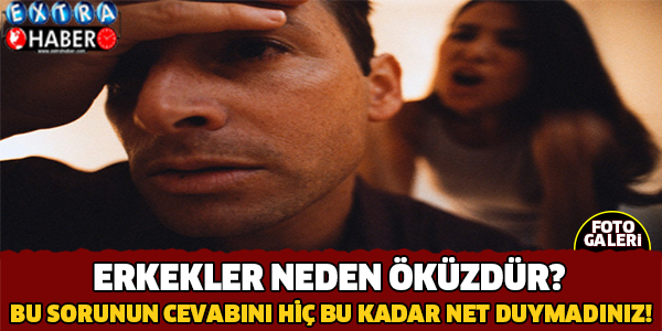 Erkekler Neden Öküzdür?