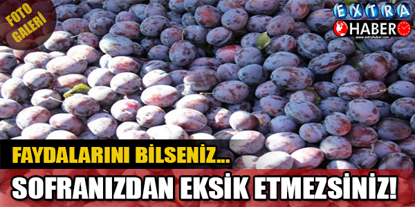 Faydalarını Bir Bilseniz... Sonranızdan Eksik Etmezsiniz!