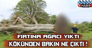 Fırtına Ağacı Yıktı Kökünden Bakın Ne Çıktı !!!